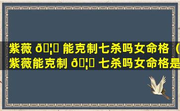 紫薇 🦉 能克制七杀吗女命格（紫薇能克制 🦉 七杀吗女命格是什么）